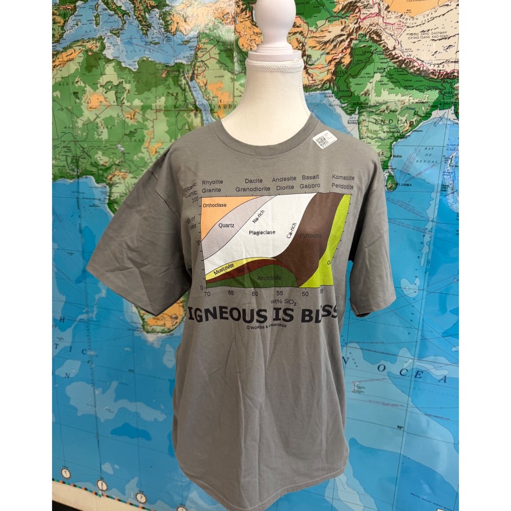 Words & Unwords Igneous Is Bliss Geology Graphic T-Shirt Mens Medium Slate Gray